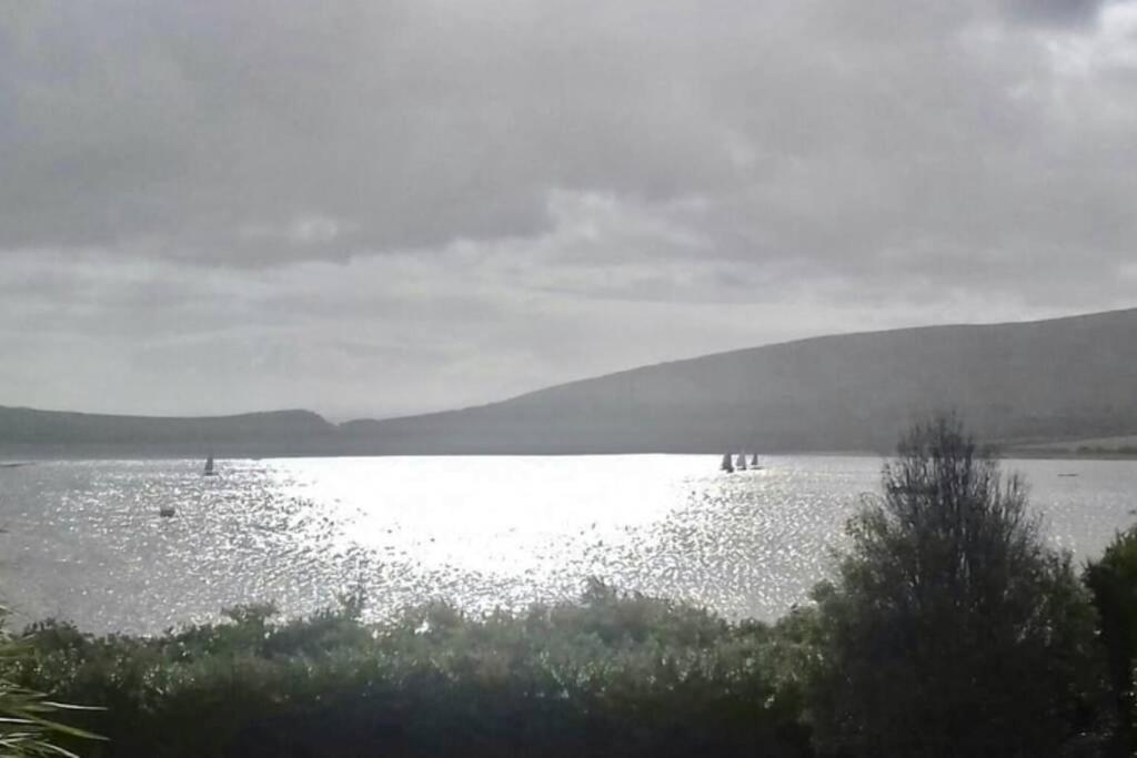 Green Garden Meets Blue Sea For 2 People Dingle Eksteriør billede