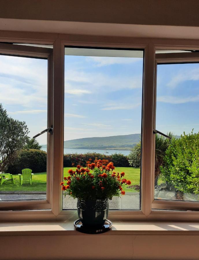 Green Garden Meets Blue Sea For 2 People Dingle Eksteriør billede