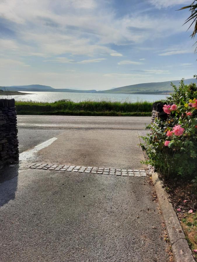 Green Garden Meets Blue Sea For 2 People Dingle Eksteriør billede